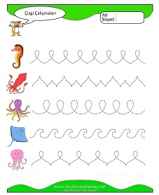 Çizgi Çalışma Sayfaları